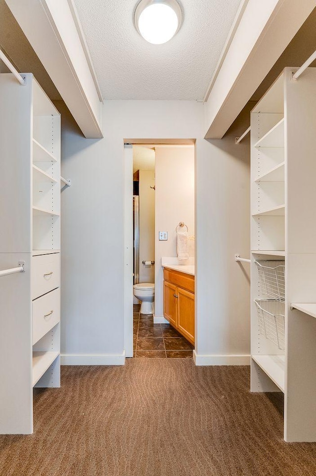 1920 1st St Unit 304, Minneapolis, MN 55454 - walk in closet featuring dark carpet