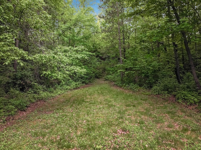 544 22nd St, Sioux Creek Twp, WI 54728 - view of yard featuring a view of trees