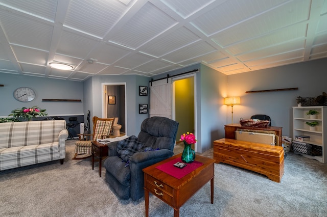 920 9th St, Rush City, MN 55069 - living area featuring carpet flooring and a barn door
