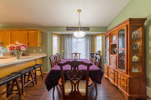 920 9th St, Rush City, MN 55069 - dining room featuring dark wood-type flooring