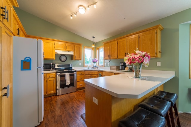 920 9th St, Rush City, MN 55069 - kitchen featuring appliances with stainless steel finishes, under cabinet range hood, a peninsula, vaulted ceiling, and dark wood-style flooring