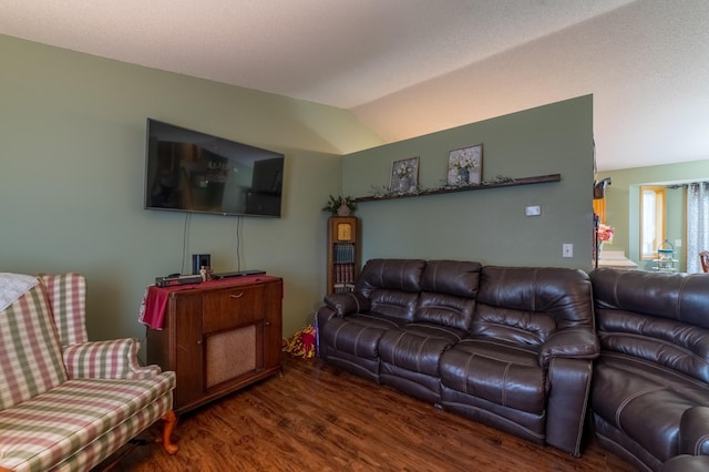 920 9th St, Rush City, MN 55069 - living area featuring wood finished floors and vaulted ceiling