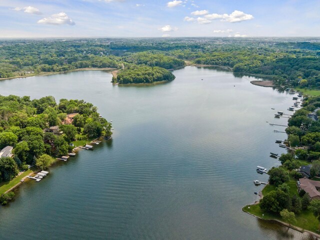 7469 Fernbrook Ln N, Maple Grove, MN 55311 - bird's eye view of a large body of water and a heavily wooded area