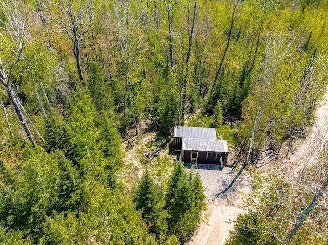 18219 Majestic Hideaway Way, Nashwauk, MN 55769 - view of subject property featuring a forest
