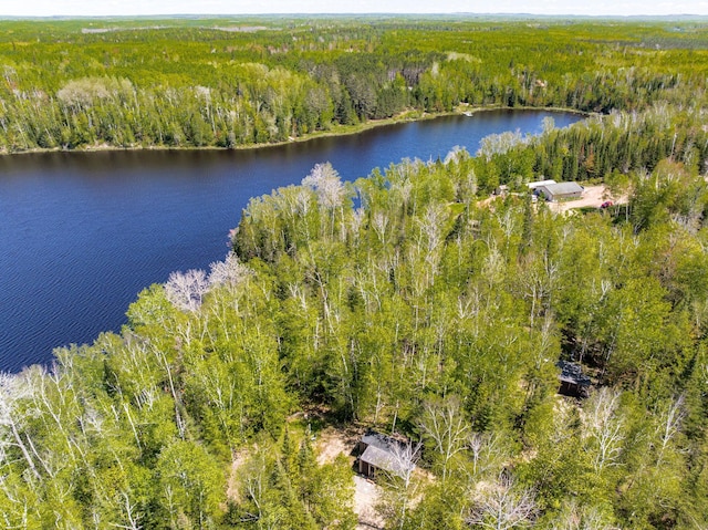 18219 Majestic Hideaway Way, Nashwauk, MN 55769 - drone / aerial view of a heavily wooded area and a large body of water