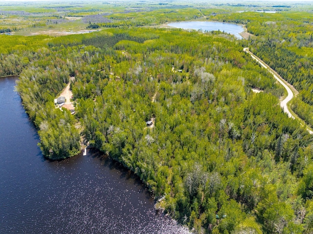 18219 Majestic Hideaway Way, Nashwauk, MN 55769 - bird's eye view of a heavily wooded area and a nearby body of water
