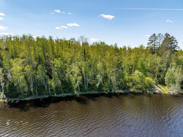 18219 Majestic Hideaway Way, Nashwauk, MN 55769 - water view featuring a forest