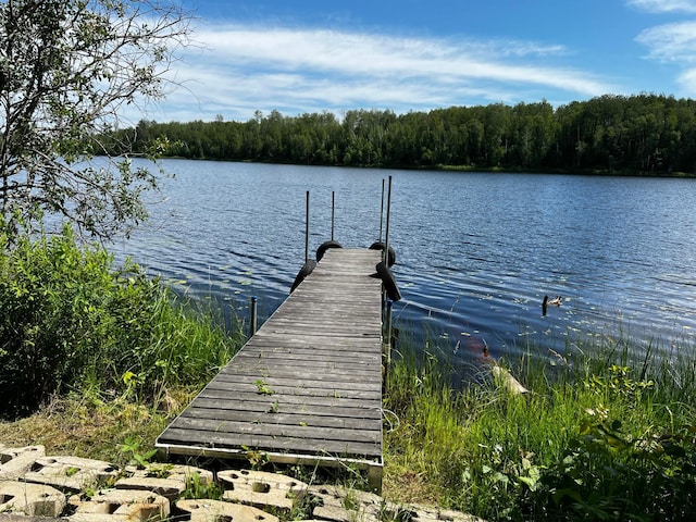 18219 Majestic Hideaway Way, Nashwauk, MN 55769 - dock area with a water view and a forest view