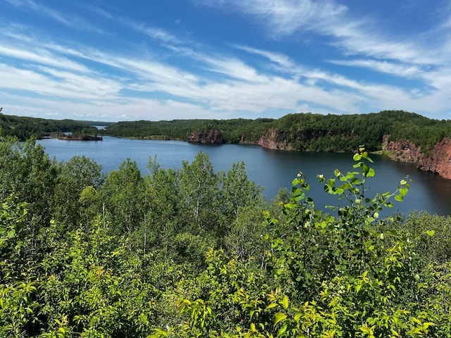 18219 Majestic Hideaway Way, Nashwauk, MN 55769 - water view with a forest