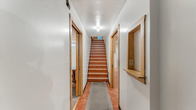 1220 Irving St, Alexandria, MN 56308 - photo 20