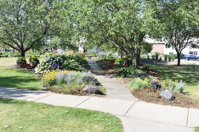 13655 Kaylemore Trl, Rosemount, MN 55068 - view of community featuring a lawn