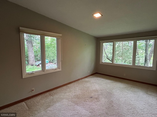 11209 Oak Ridge Ln W, Minnetonka, MN 55305 - unfurnished room featuring plenty of natural light, light carpet, and vaulted ceiling