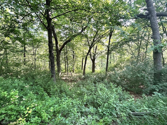 11209 Oak Ridge Ln W, Minnetonka, MN 55305 - view of woods