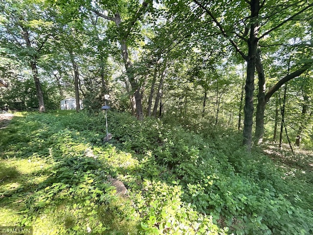 11209 Oak Ridge Ln W, Minnetonka, MN 55305 - view of local wilderness