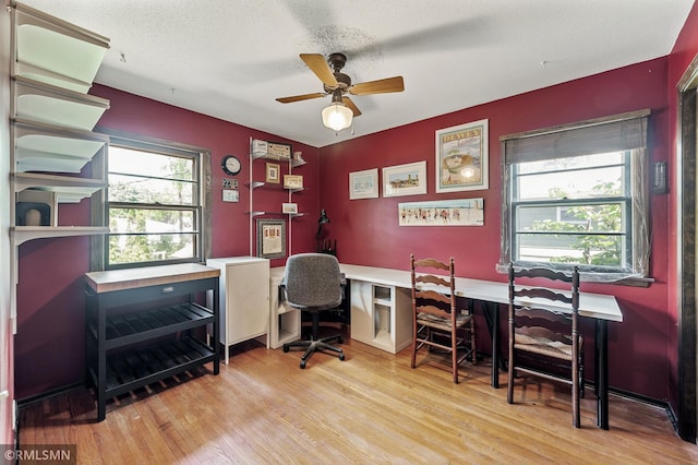 6316 15th Ave S, Richfield, MN 55423 - office space featuring plenty of natural light, a ceiling fan, and wood finished floors