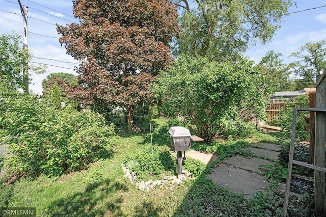 6316 15th Ave S, Richfield, MN 55423 - view of yard