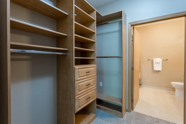2230 Lower Afton Rd E, Saint Paul, MN 55119 - view of walk in closet