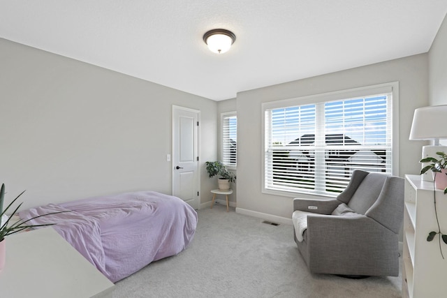 8633 Ambergate Dr, Victoria, MN 55386 - carpeted bedroom with baseboards