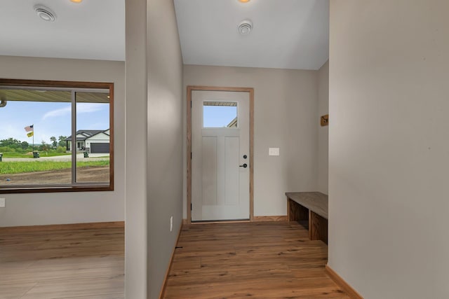 212 Woolgrass Way, Avon, MN 56310 - foyer entrance featuring healthy amount of natural light, wood finished floors, and baseboards