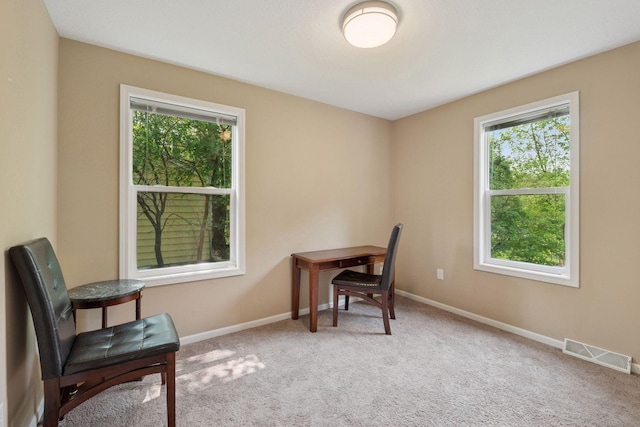 5110 Woodridge Rd, Minnetonka, MN 55345 - office with plenty of natural light, carpet flooring, and baseboards
