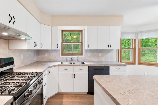 41502 Flink Ave, North Branch, MN 55056 - kitchen featuring stainless steel gas range oven, under cabinet range hood, healthy amount of natural light, and dishwashing machine