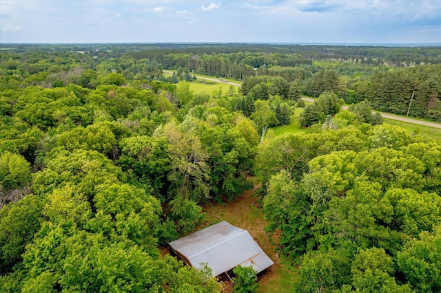 41502 Flink Ave, North Branch, MN 55056 - bird's eye view of a forest