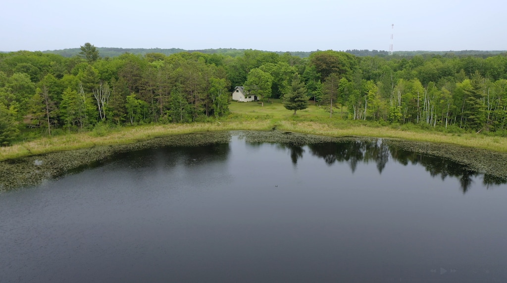 28457 US Highway 169, Farm Island Twp, MN 56431 - water view featuring a heavily wooded area