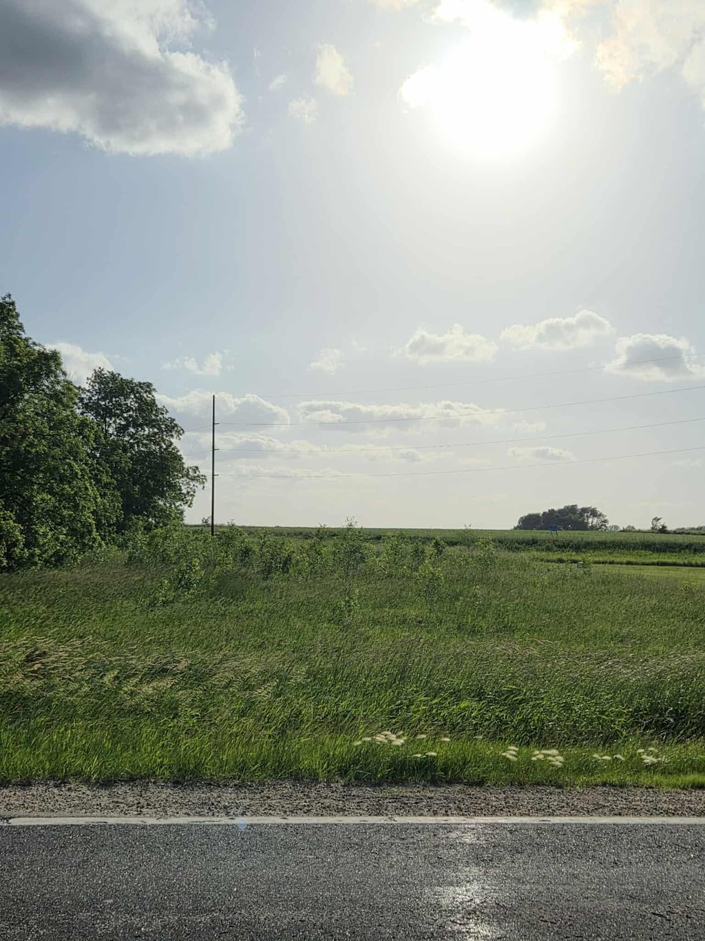 1 County Road 29, Fremont Twp, MN 55979 - photo 2