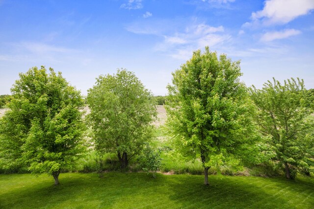231 Winkler Trl, Cologne, MN 55322 - view of grassy yard