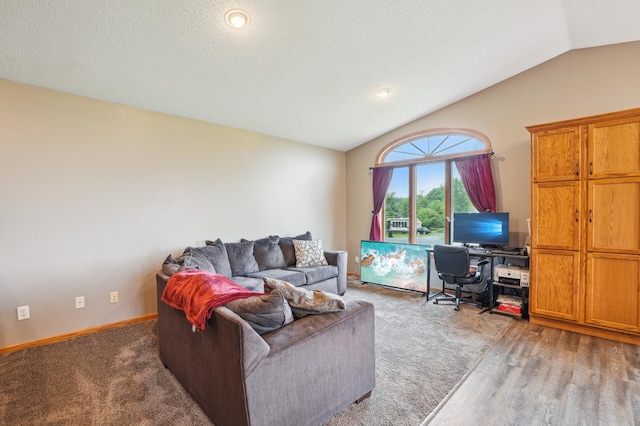 881 217th St, Osceola, WI 54020 - living area featuring lofted ceiling, an office area, and baseboards