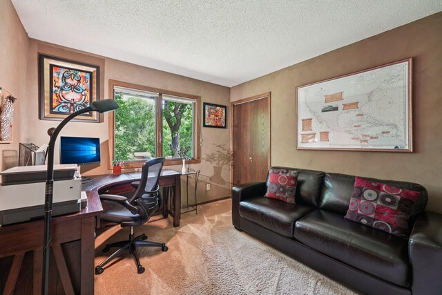 9320 Barnes Ave, Inver Grove Heights, MN 55077 - photo 27