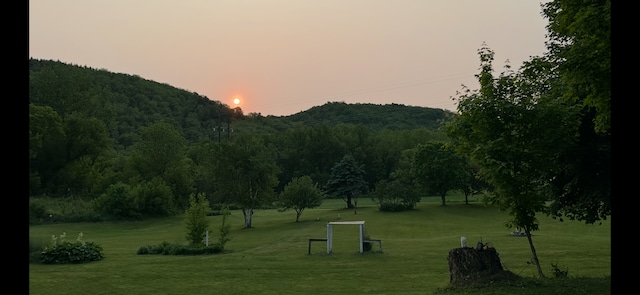 12283 County Road 31, Mount Vernon Twp, MN 55910 - surrounding community with a yard and a wooded view