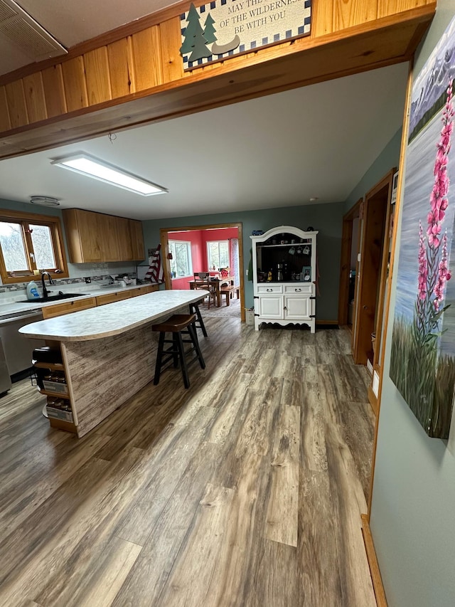 12283 County Road 31, Mount Vernon Twp, MN 55910 - kitchen with light countertops, wood finished floors, a sink, and plenty of natural light