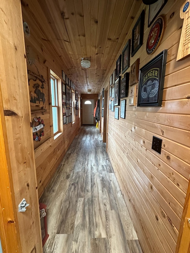 12283 County Road 31, Mount Vernon Twp, MN 55910 - corridor featuring wooden ceiling, wooden walls, and wood finished floors