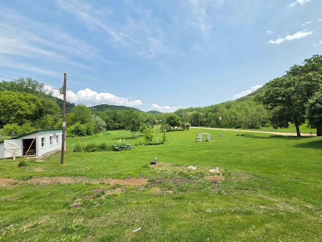 12283 County Road 31, Mount Vernon Twp, MN 55910 - view of green lawn featuring an outbuilding