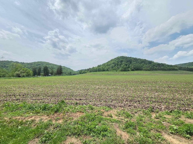 12283 County Road 31, Mount Vernon Twp, MN 55910 - view of mountain background with rural landscape
