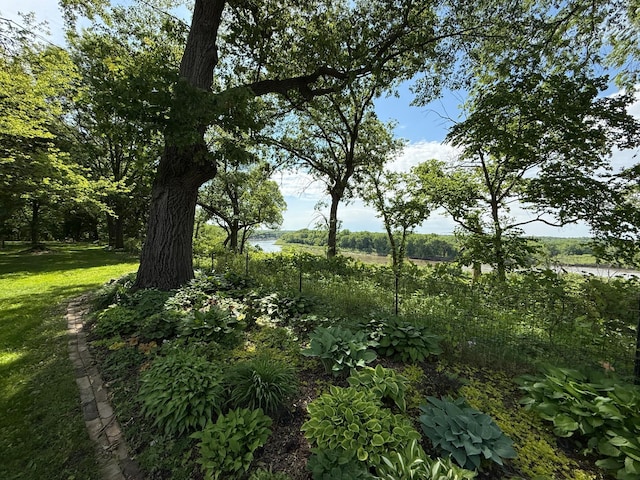 26813 Scenic Byway Rd, Faxon Twp, MN 56011 - view of nature