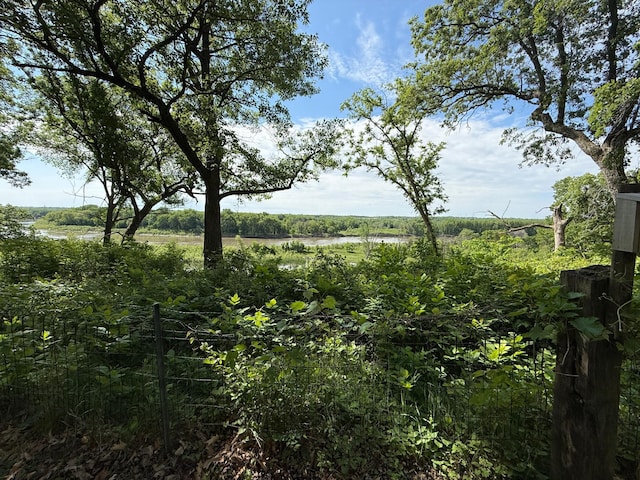 26813 Scenic Byway Rd, Faxon Twp, MN 56011 - view of nature