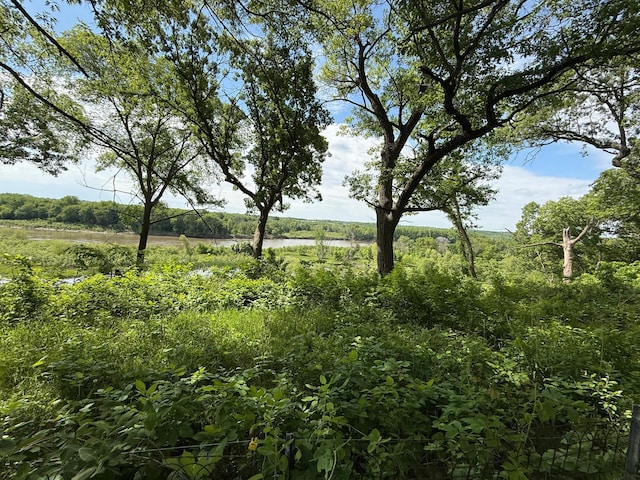 26813 Scenic Byway Rd, Faxon Twp, MN 56011 - view of local wilderness featuring a nearby body of water
