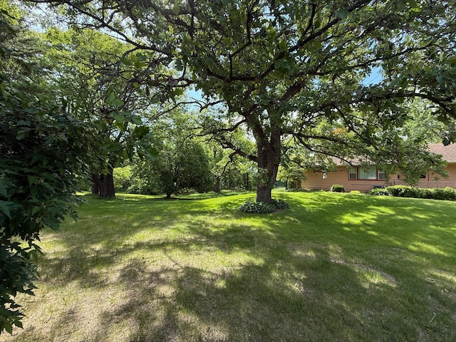 26813 Scenic Byway Rd, Faxon Twp, MN 56011 - view of green lawn