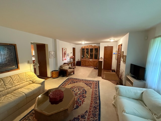 26813 Scenic Byway Rd, Faxon Twp, MN 56011 - living room featuring light colored carpet