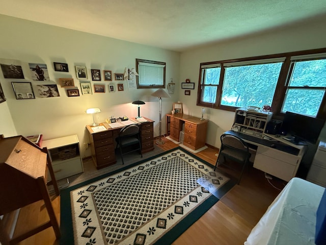 26813 Scenic Byway Rd, Faxon Twp, MN 56011 - home office featuring wood finished floors
