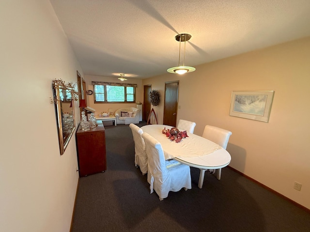 26813 Scenic Byway Rd, Faxon Twp, MN 56011 - carpeted dining area with a textured ceiling