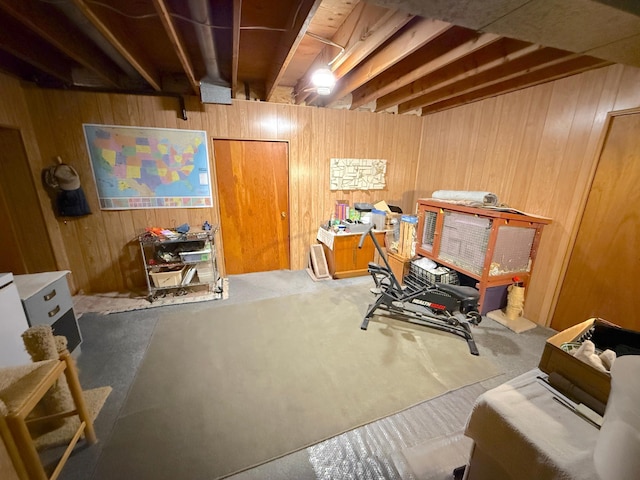 26813 Scenic Byway Rd, Faxon Twp, MN 56011 - workout room with wood walls