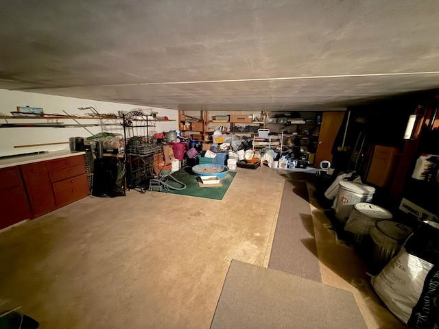 26813 Scenic Byway Rd, Faxon Twp, MN 56011 - view of finished basement