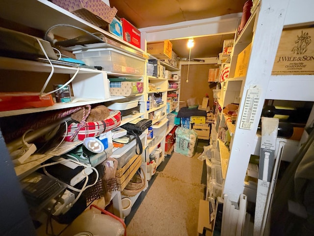26813 Scenic Byway Rd, Faxon Twp, MN 56011 - view of storage area