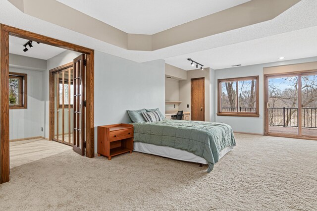 6230 Elm Ridge Cir, Corcoran, MN 55340 - bedroom featuring track lighting, carpet floors, access to outside, and multiple windows