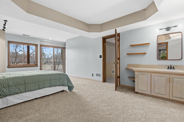 6230 Elm Ridge Cir, Corcoran, MN 55340 - bedroom with light carpet, a sink, baseboards, and access to exterior