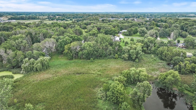 6230 Elm Ridge Cir, Corcoran, MN 55340 - aerial overview of property's location with a large body of water