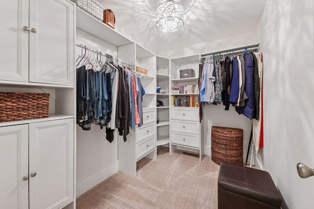 1924 Shamrock Pl, Chaska, MN 55318 - walk in closet with light colored carpet